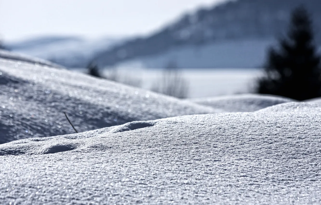 Photo wallpaper winter, snow, landscape, nature