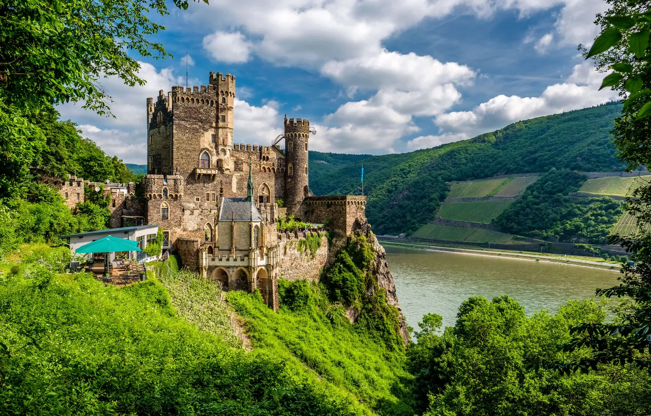 Photo wallpaper summer, river, Germany, castle, Rhine, Rheinstein Castle