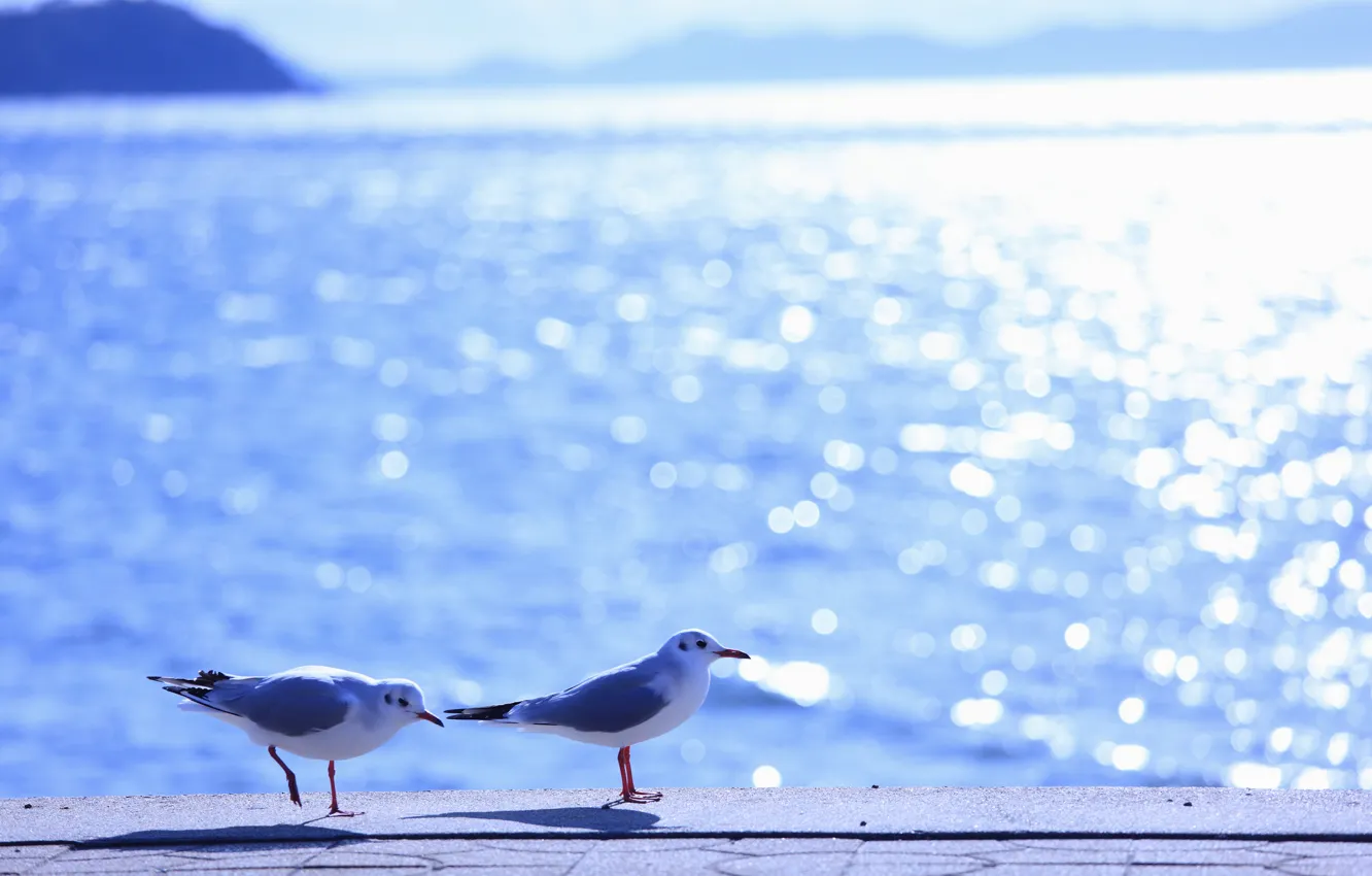 Photo wallpaper sea, wave, summer, water, the sun, light, glare, lights
