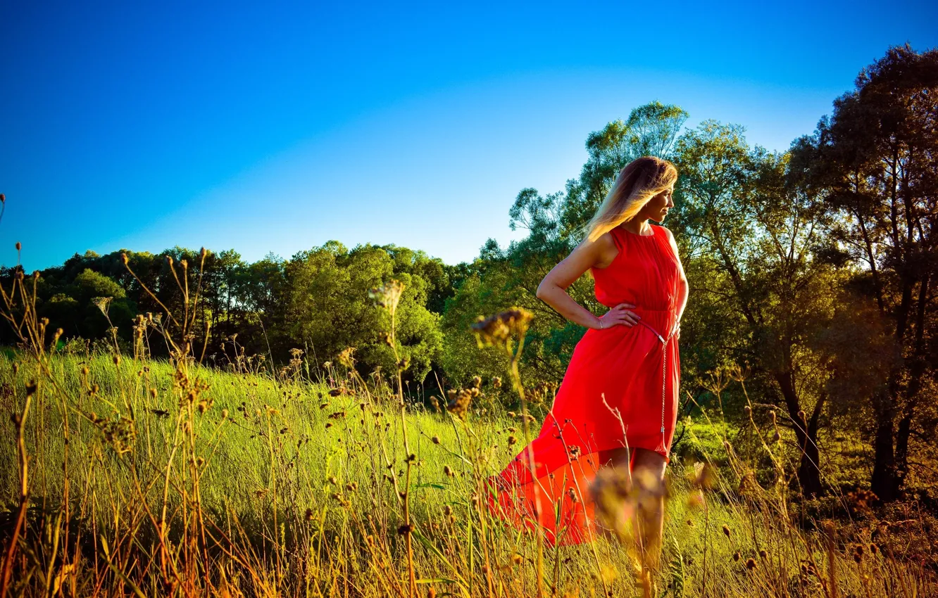 Photo wallpaper field, grass, girl, trees, dress, blonde, girl, grass