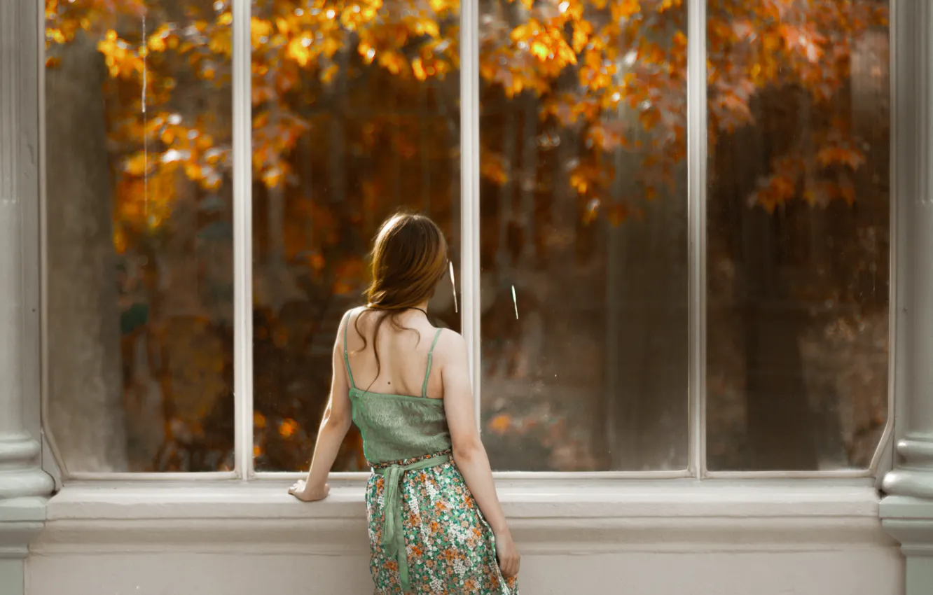 Photo wallpaper girl, back, window, red