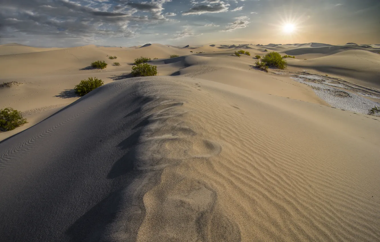 Photo wallpaper sand, nature, desert, dunes, California, Death Valley, Dunes