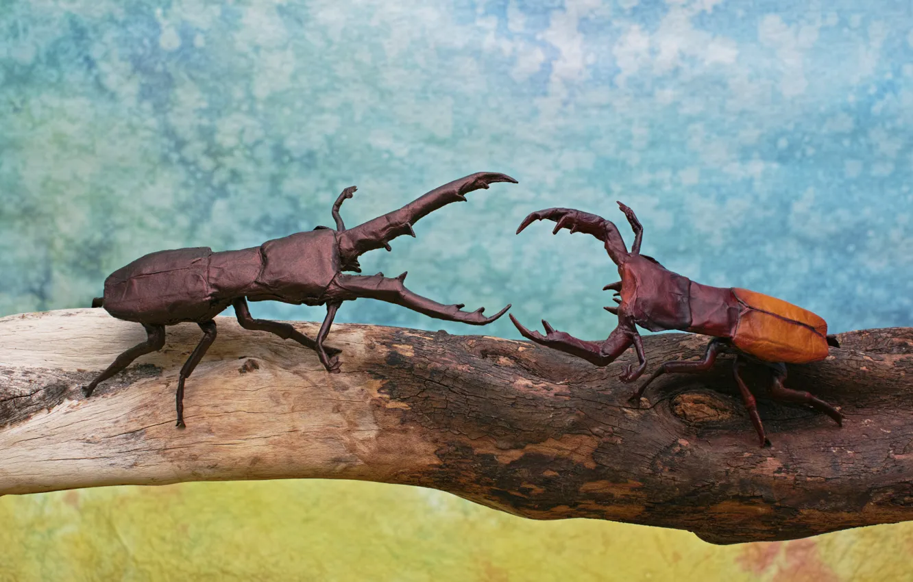 Photo wallpaper background, beetle, log, the fight