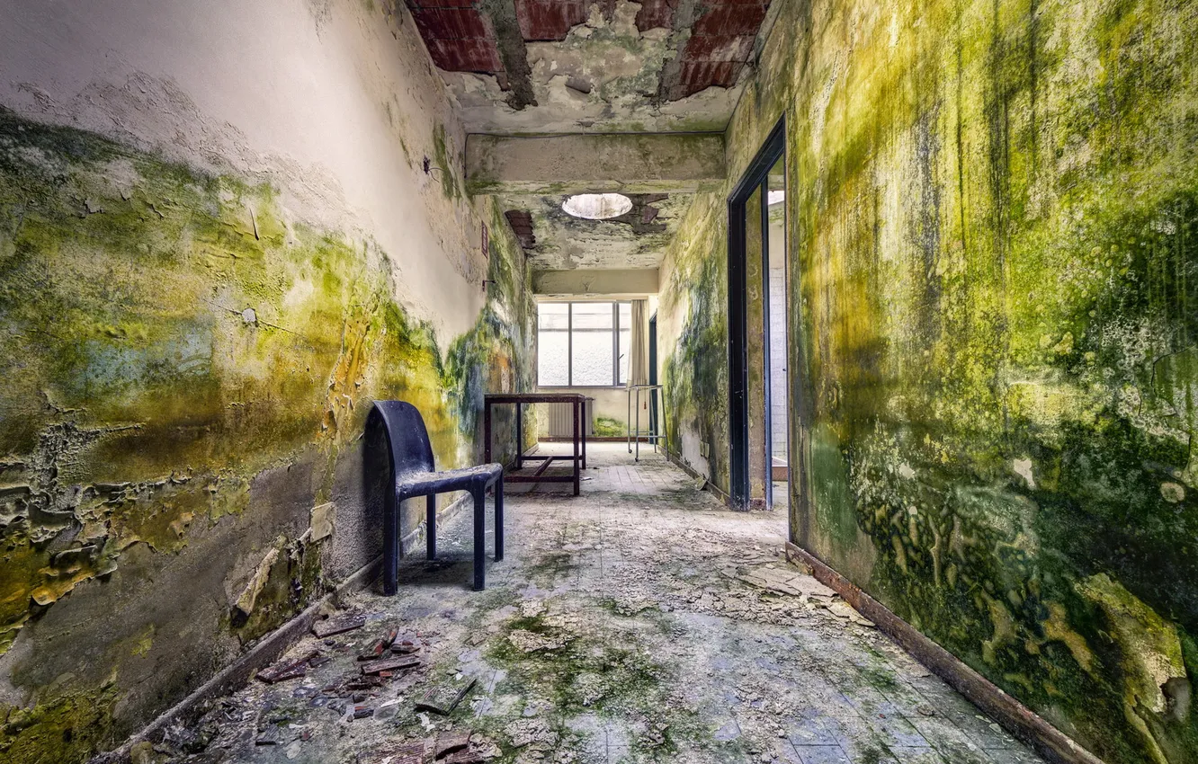 Photo wallpaper interior, corridor, chair