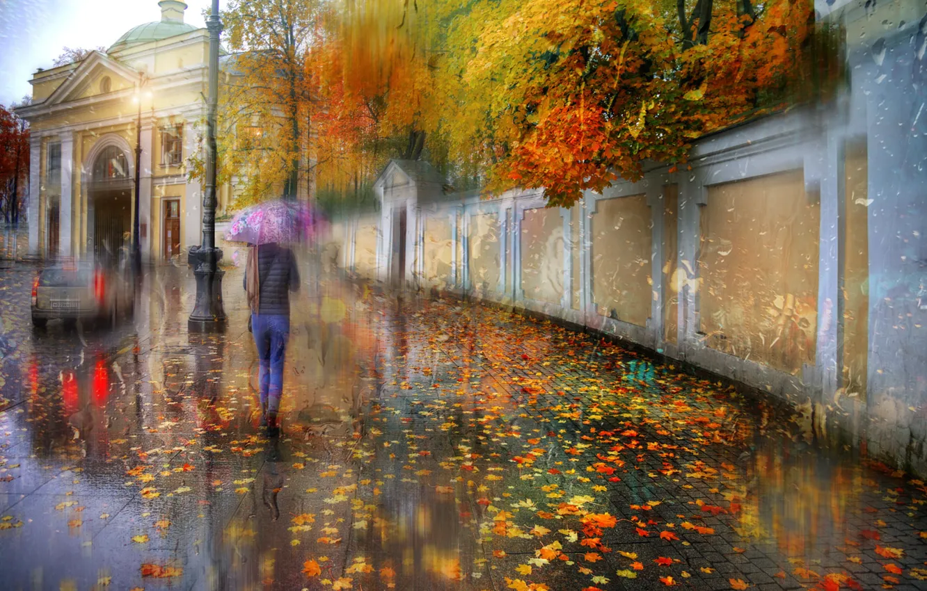 Photo wallpaper autumn, girl, rain, umbrella, Saint Petersburg