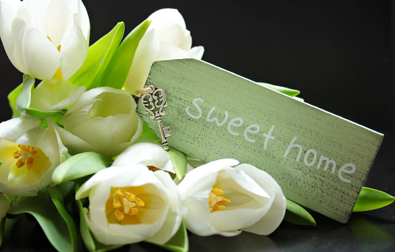 Photo wallpaper bouquet, spring, tulips, white, tulips, key