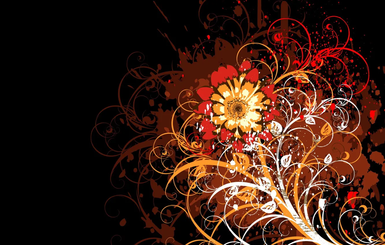 Photo wallpaper flowers, pattern, vector