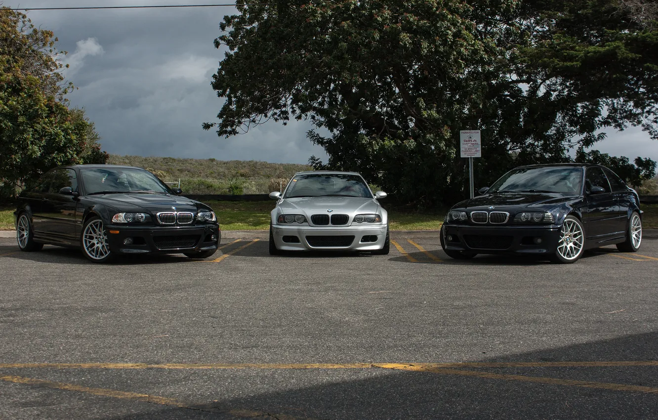 Photo wallpaper trees, blue, BMW, silver, BMW, front view, blue, E46