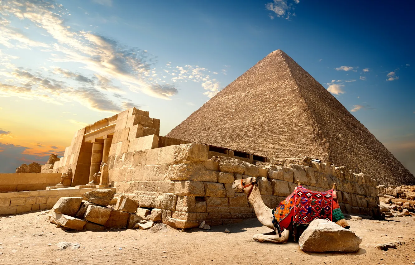 Photo wallpaper sand, the sky, the sun, clouds, stones, desert, camel, pyramid