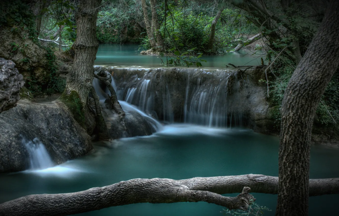 Photo wallpaper forest, trees, river, France, waterfall, cascade, France, Provence-Alpes-Côte d'azur