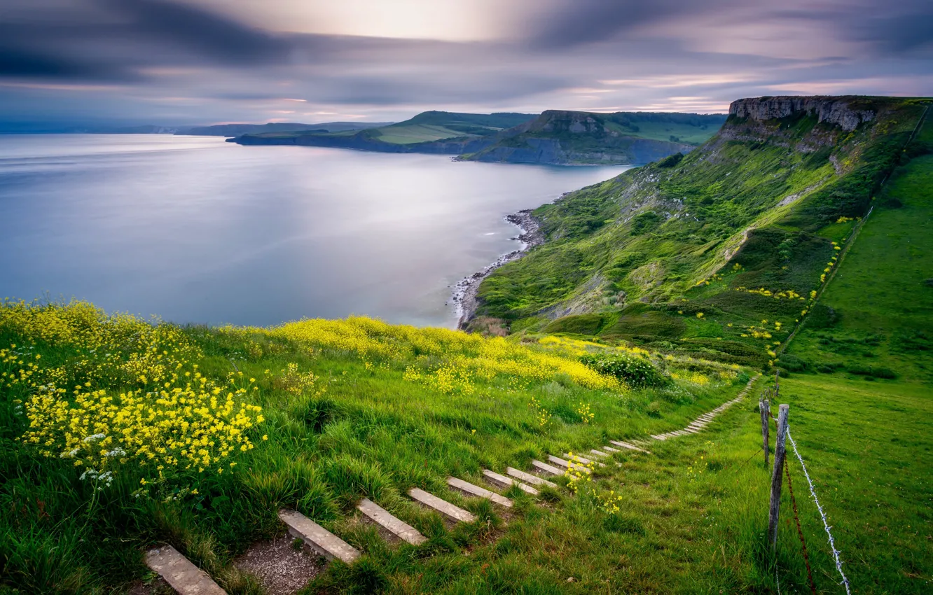 Photo wallpaper Dorset, Jurassic Coast, Emmetts hill