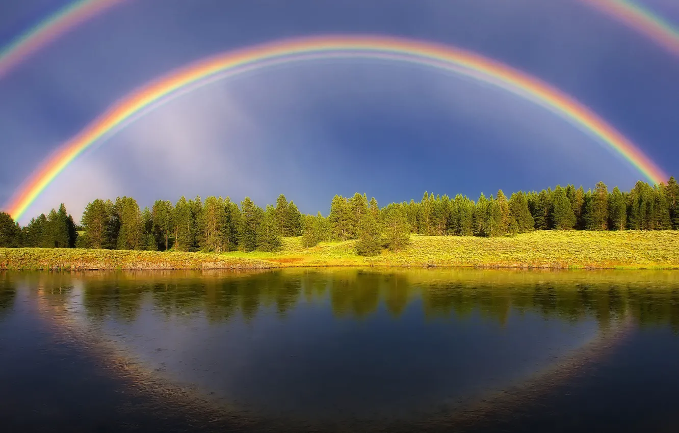 Photo wallpaper forest, summer, the sky, water, light, lake, river, rainbow