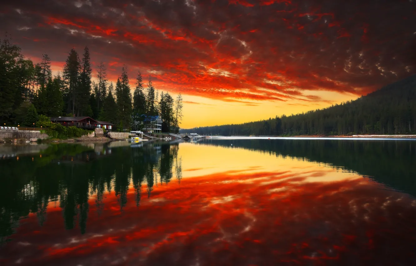 Photo wallpaper forest, the sky, water, clouds, trees, sunset, mountains, nature