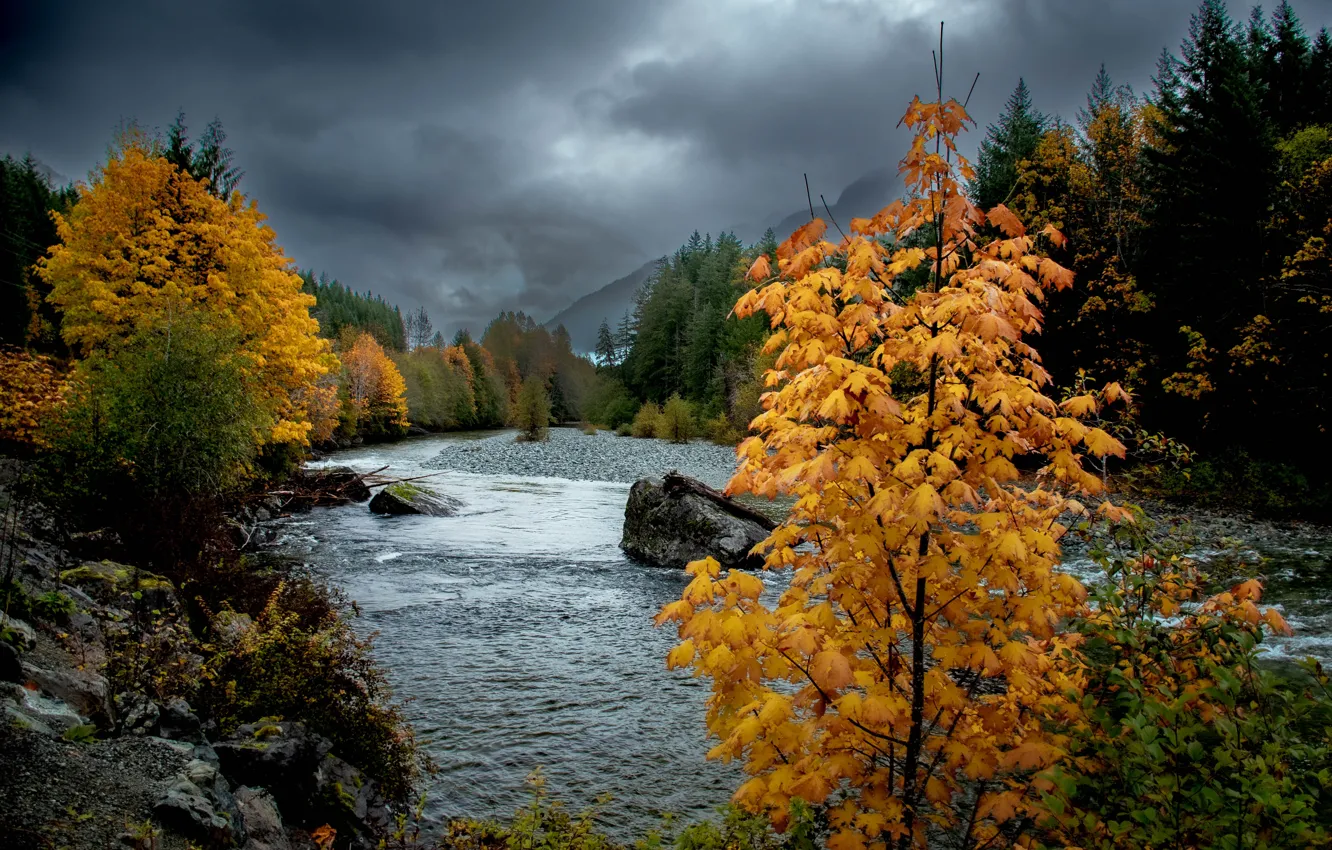 Photo wallpaper autumn, trees, river, shore