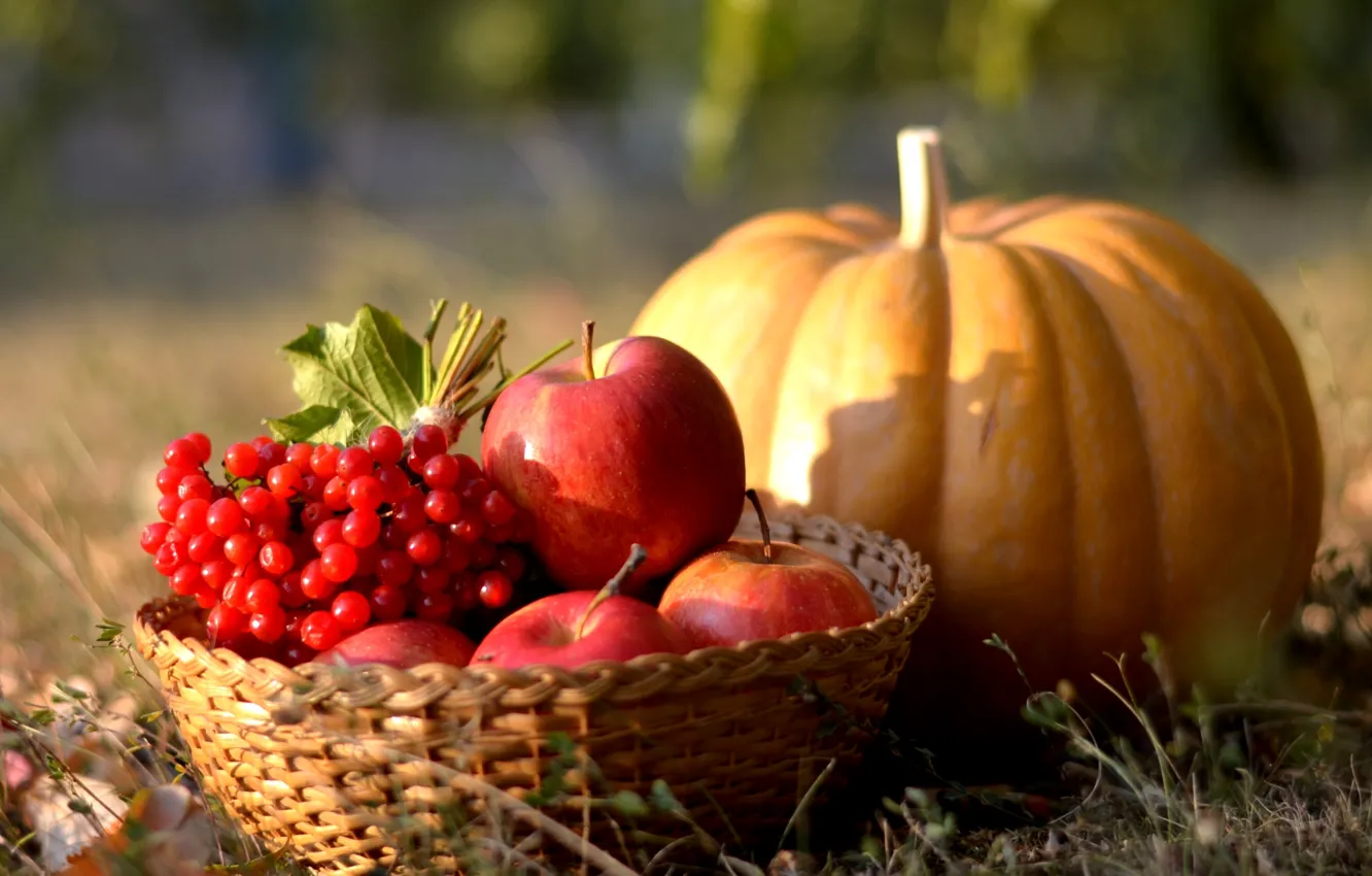 Photo wallpaper autumn, apples, pumpkin, Kalina