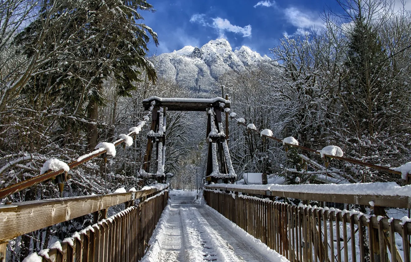 Photo wallpaper winter, snow, landscape, bridge, nature, beauty