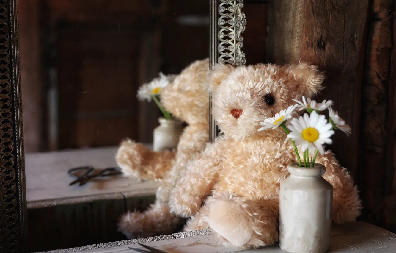 Photo wallpaper flowers, reflection, toy, chamomile, mirror, bear, Teddy bear