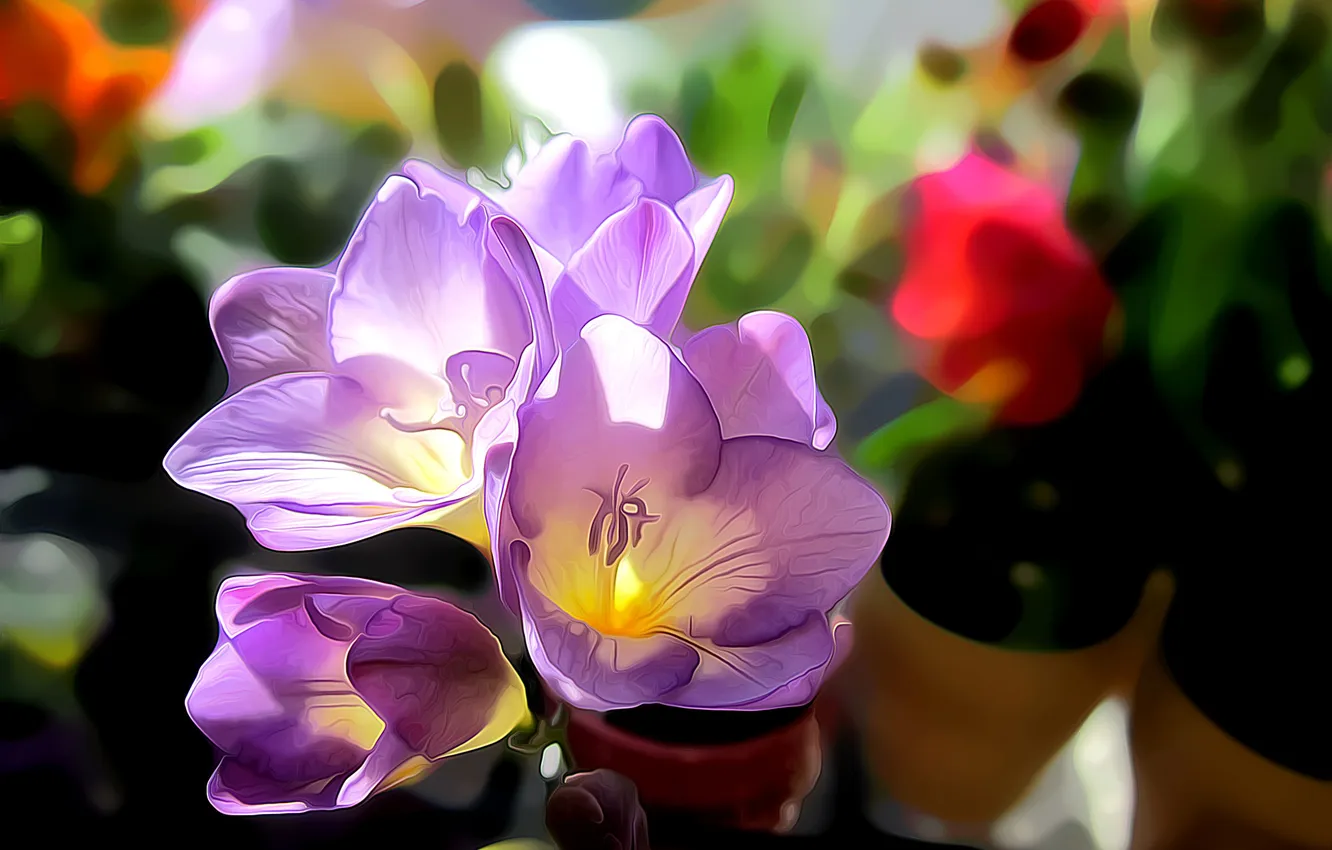 Photo wallpaper rendering, figure, vector, petals, greenhouse, pot