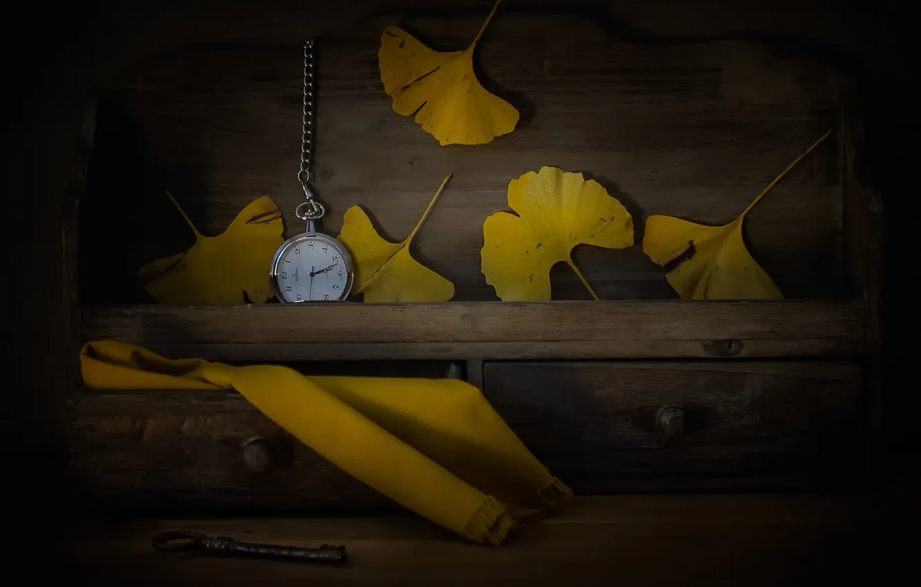 Photo wallpaper leaves, watch, key