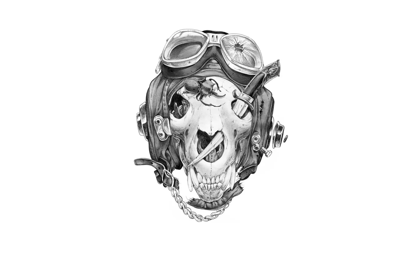 Photo wallpaper skull, beetle, glasses, knife, helmet, strap