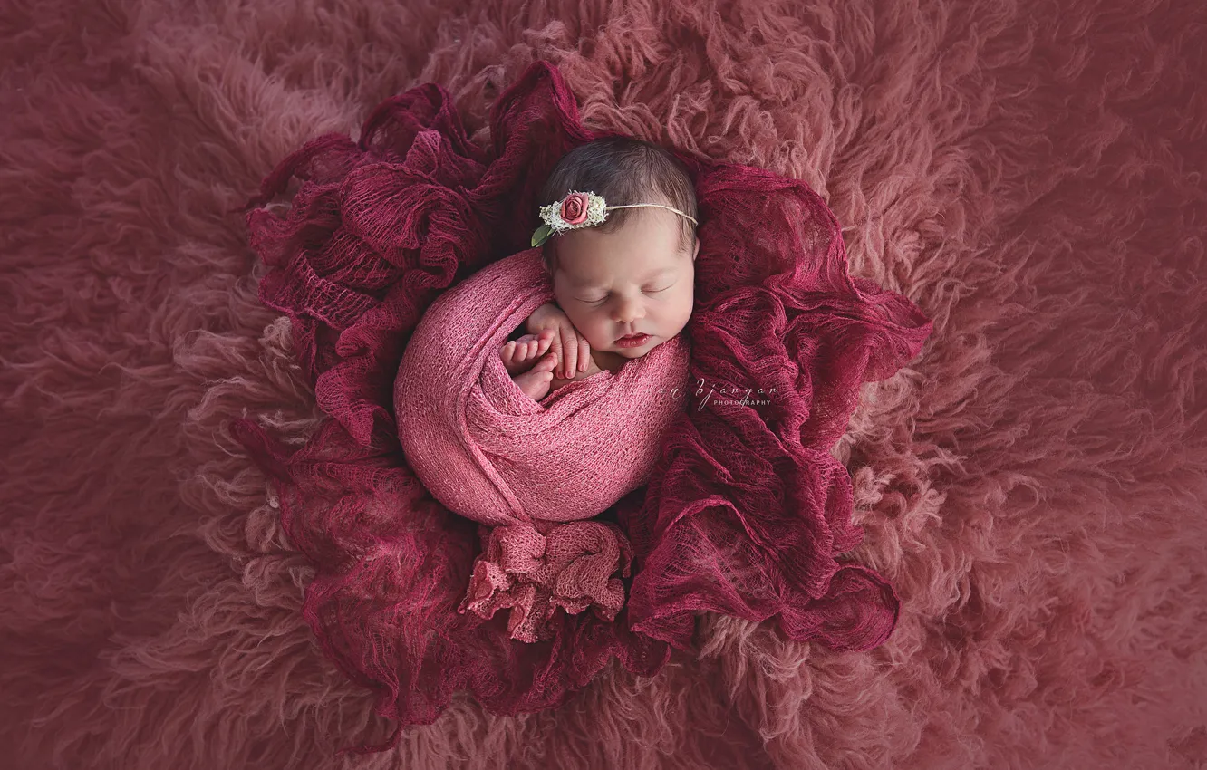 Photo wallpaper pink, sleep, girl, fur, baby
