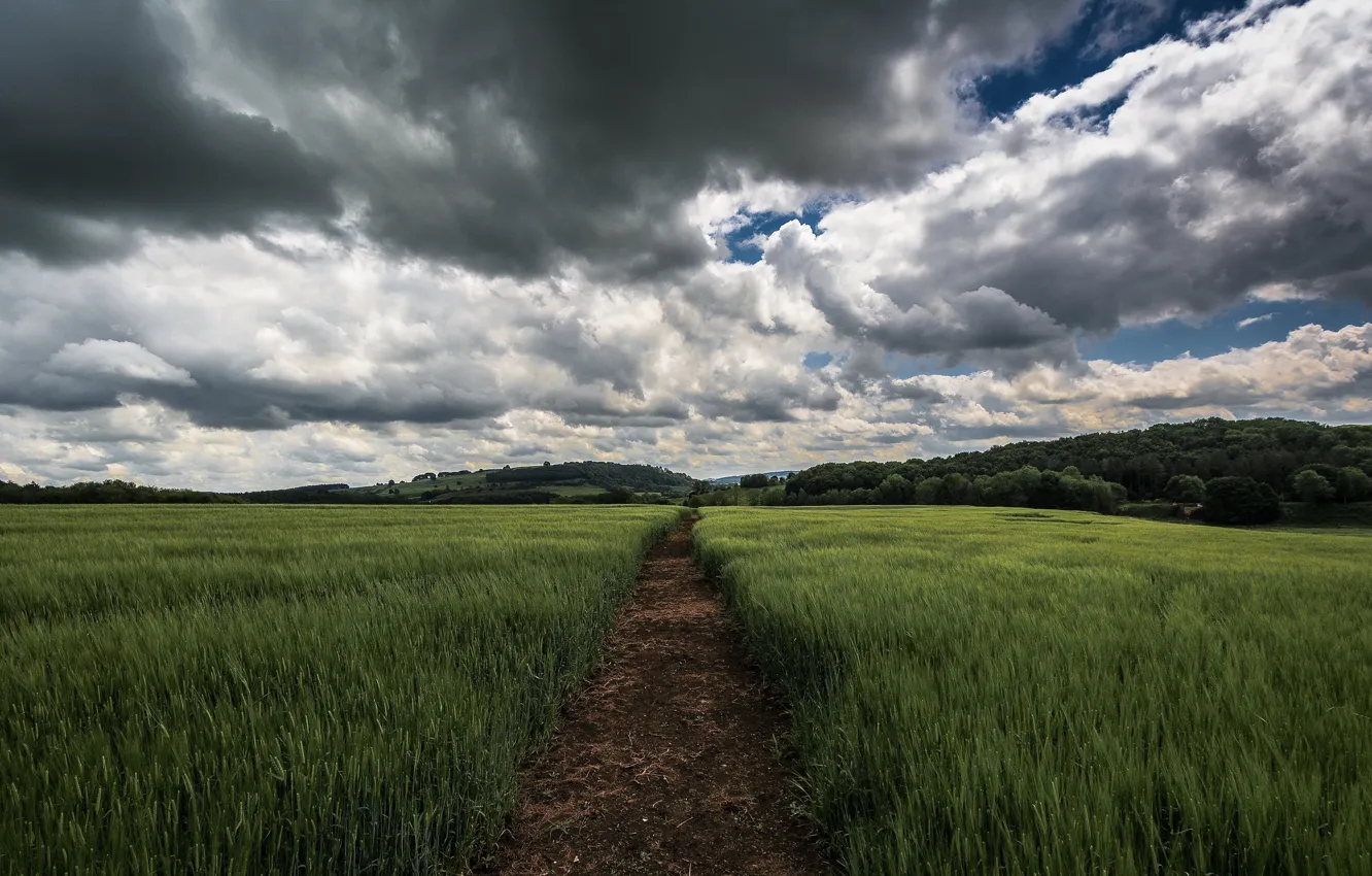 Photo wallpaper field, summer, the sky, clouds