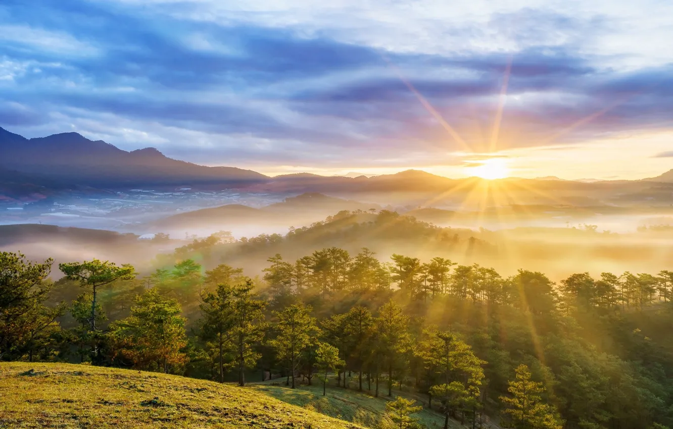 Photo wallpaper the sun, dawn, beauty