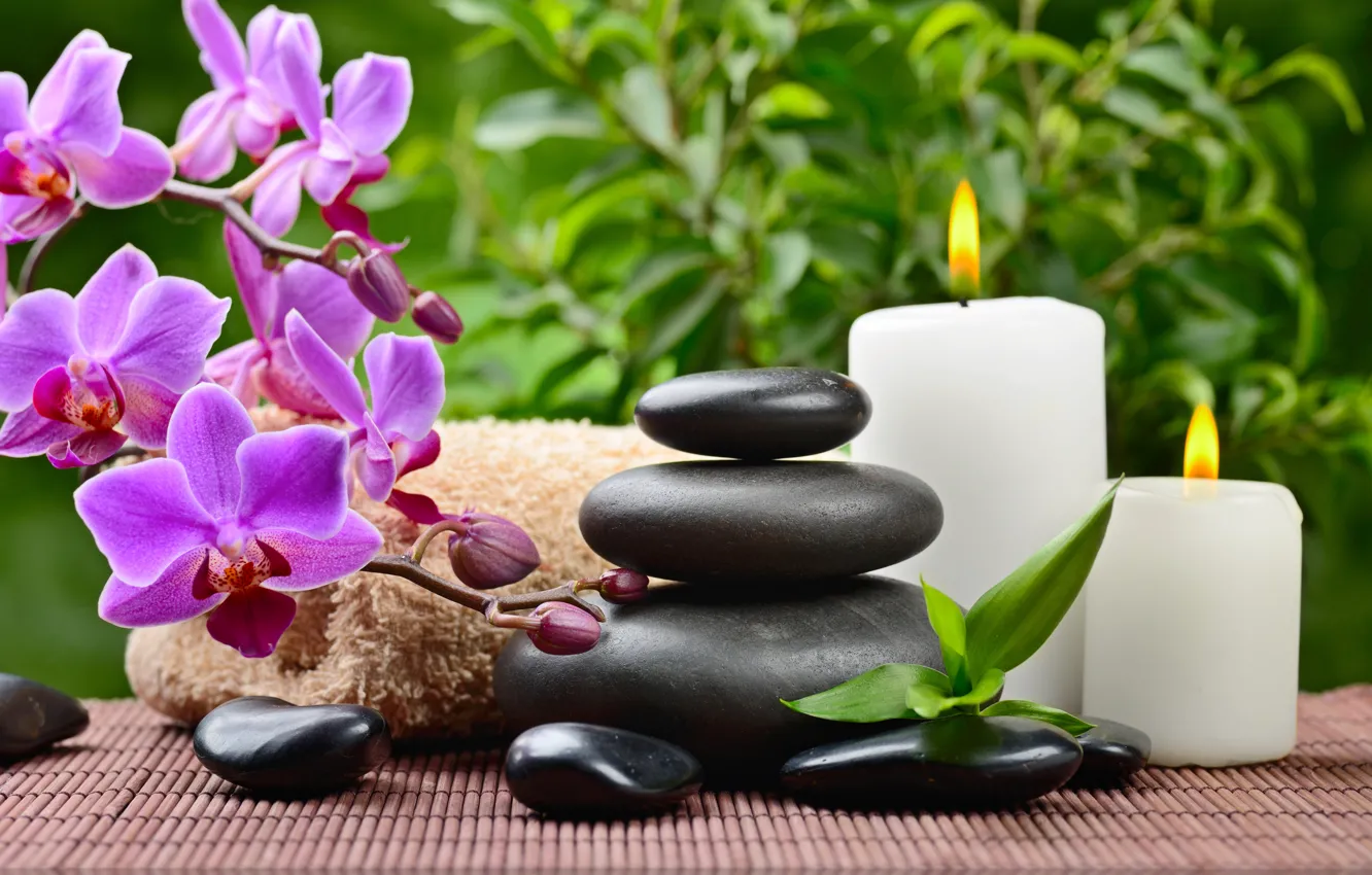 Photo wallpaper towel, Orchid, leaves, Spa stones