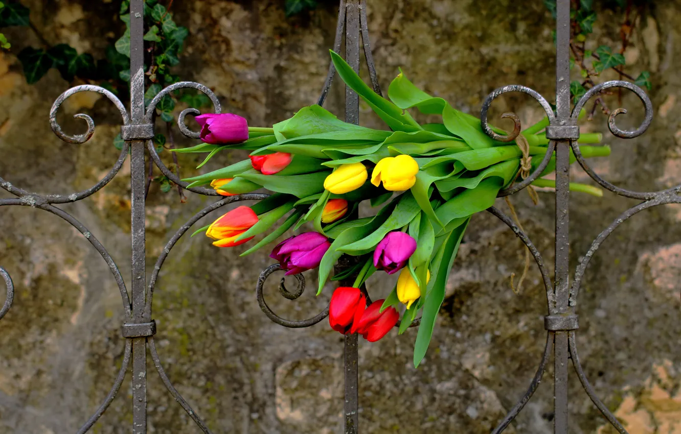 Photo wallpaper flowers, the fence, bouquet, tulips, colorful