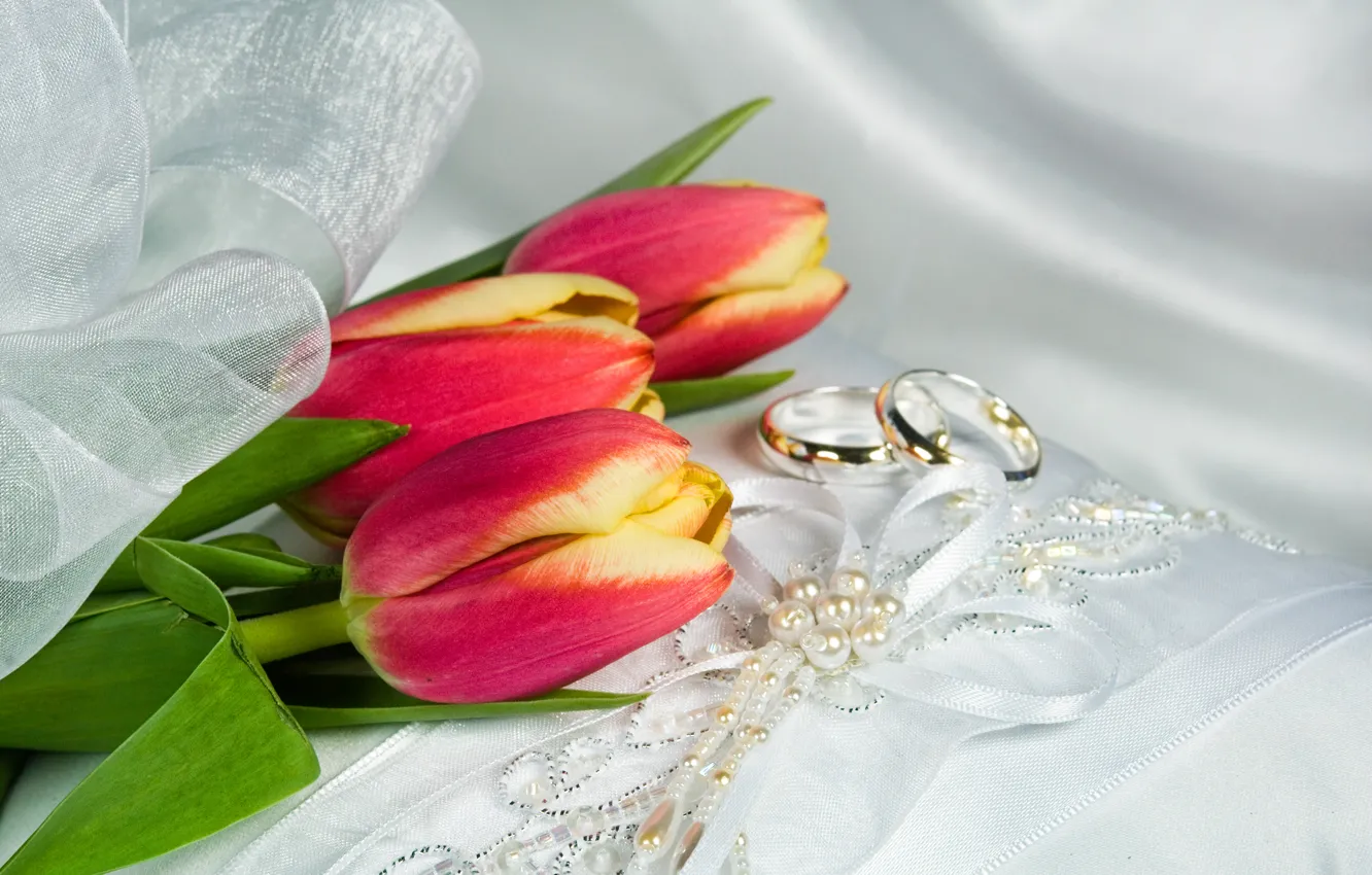 Photo wallpaper decoration, ring, tulips, ribbon