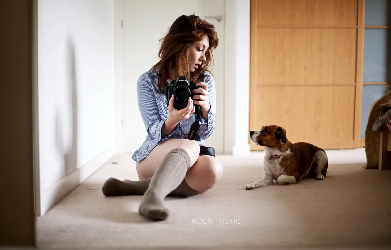 Photo wallpaper girl, home, dog