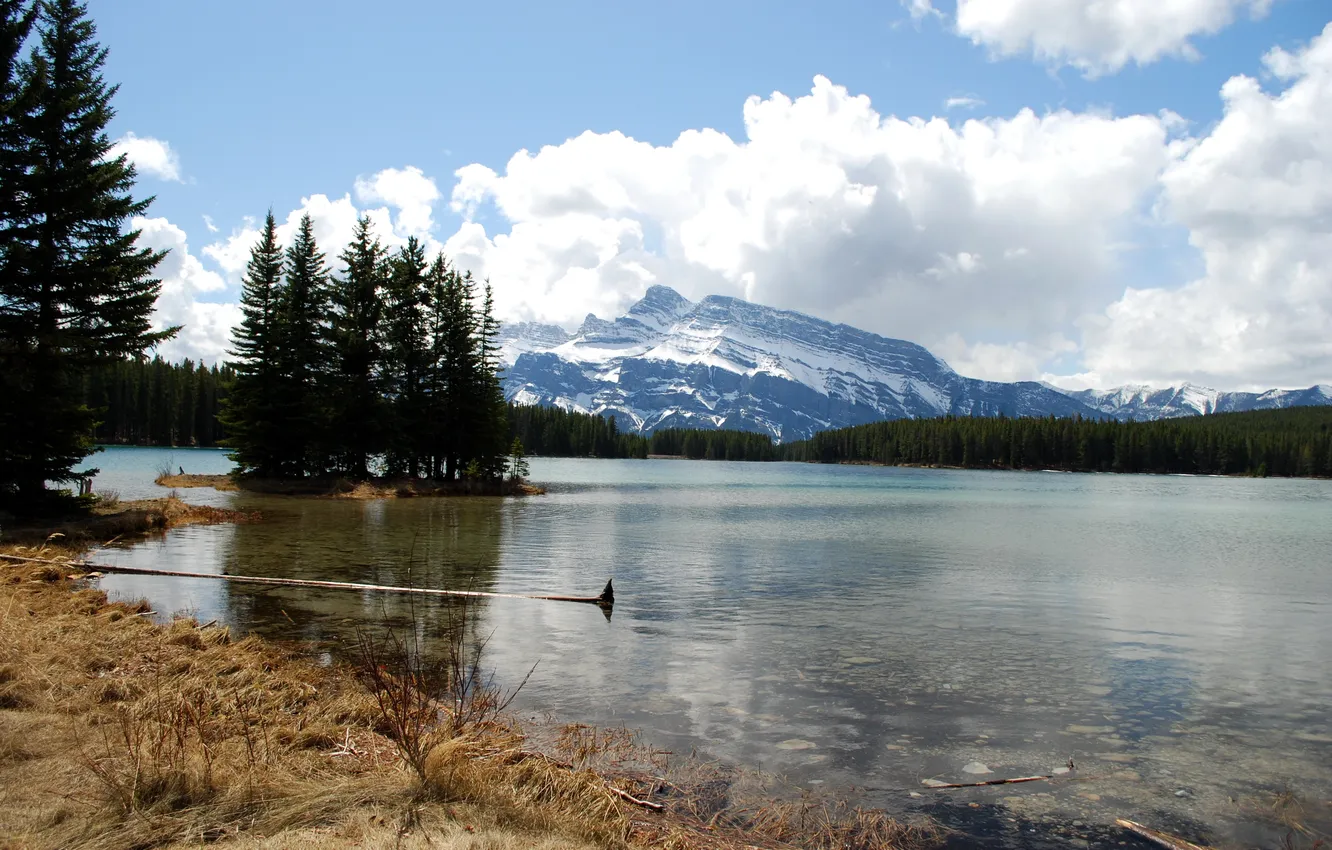 Photo wallpaper forest, mountains, lake, Canada, Banff National Park