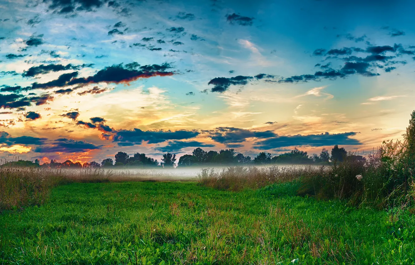 Photo wallpaper grass, sky, trees, landscape, nature, clouds, meadow, mist