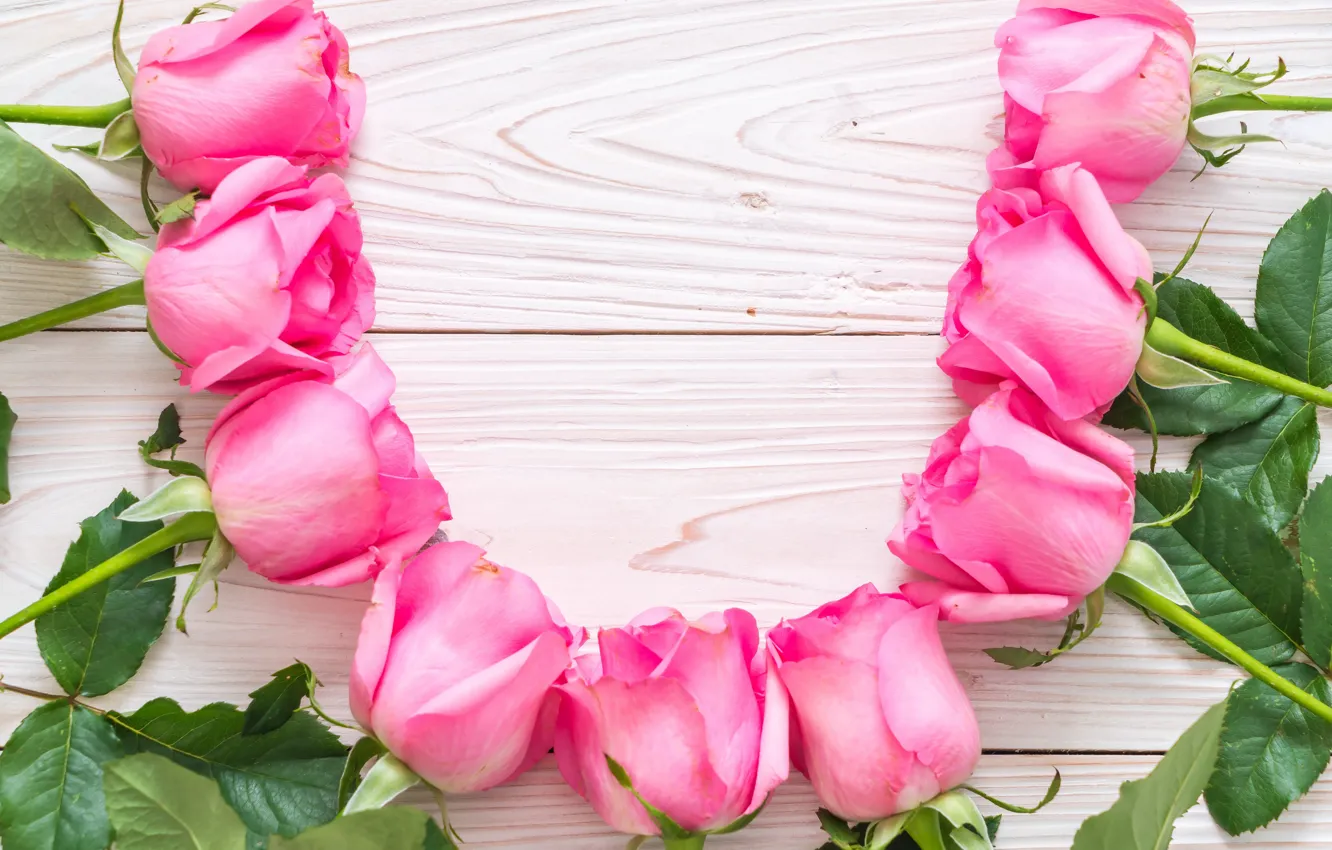 Photo wallpaper flowers, roses, pink, fresh, wood, pink, flowers, roses