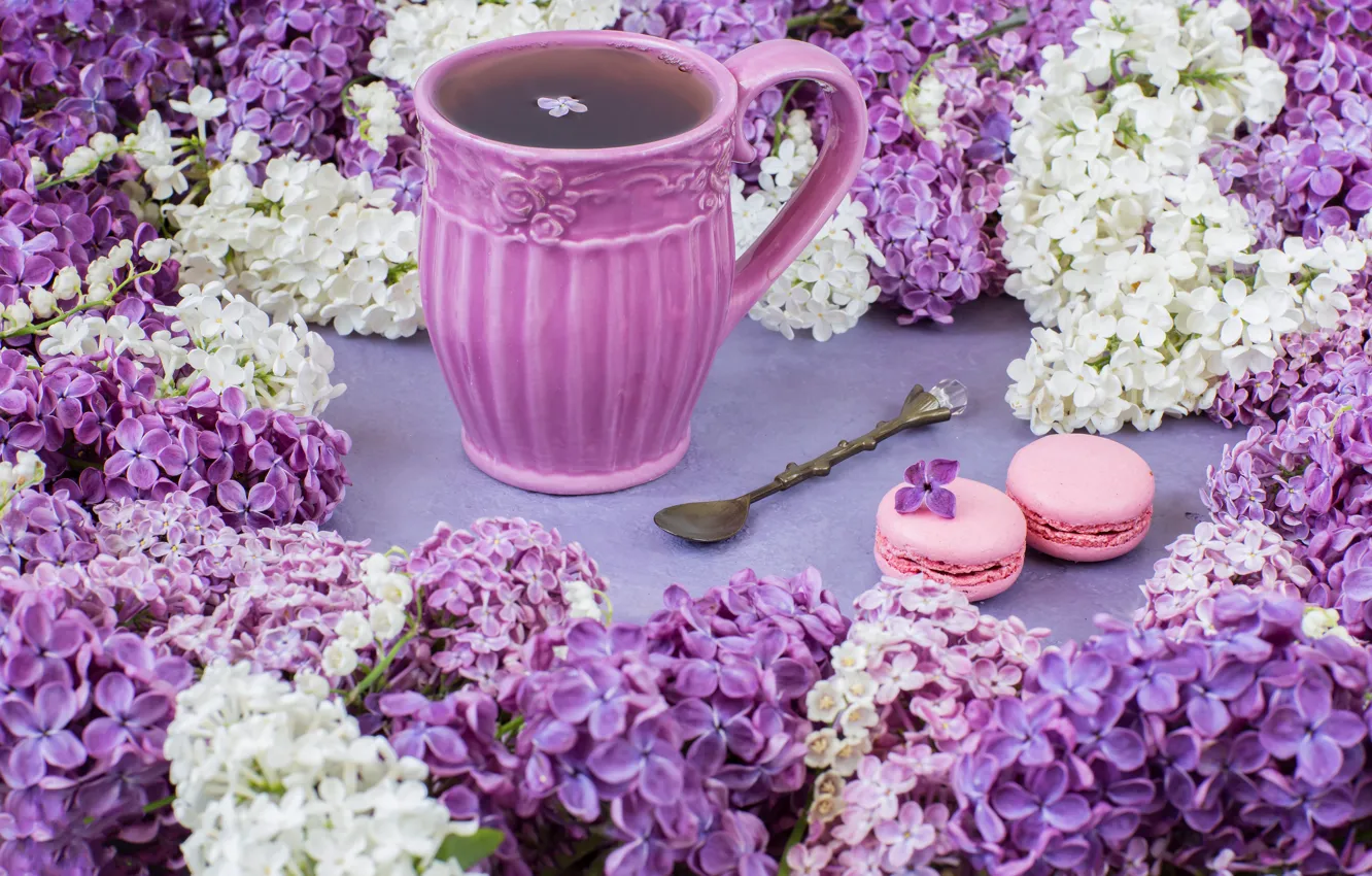 Photo wallpaper flowers, branches, flowers, lilac, cup, spring, purple, tea