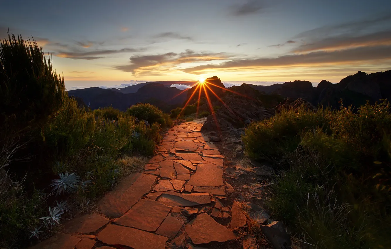Photo wallpaper sunset, mountains, vegetation, path