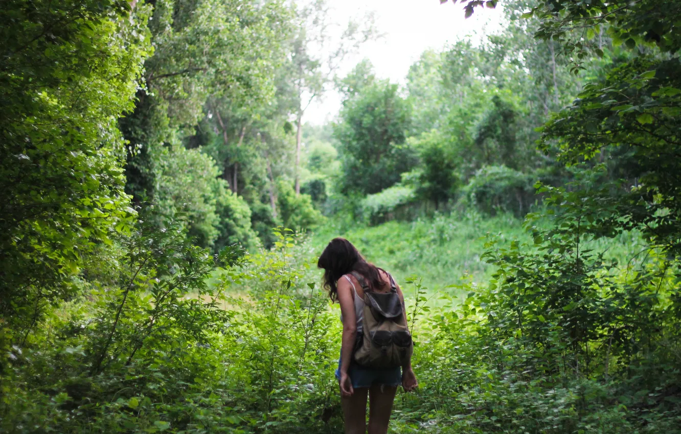 Photo wallpaper forest, girl, trees, hike, Hiking