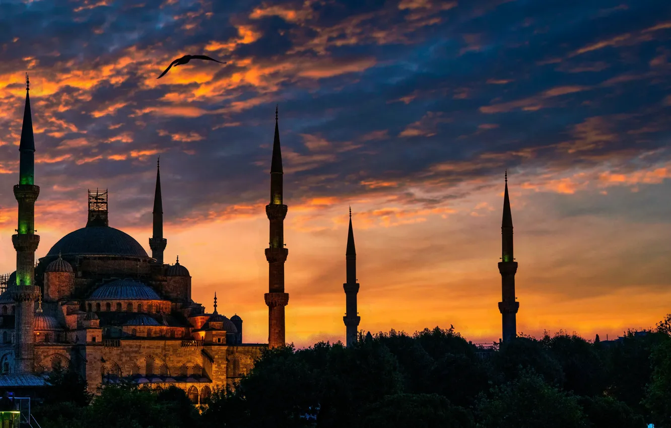 Photo wallpaper night, the city, tower, the dome, Istanbul, Turkey, Hagia Sophia, Hagia Sophia