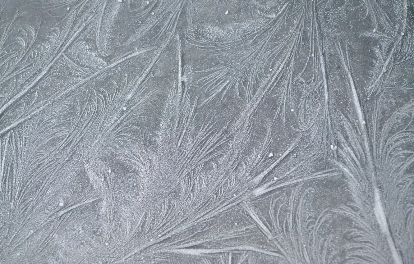 Wallpaper frost, line, patterns, texture, frost images for desktop ...