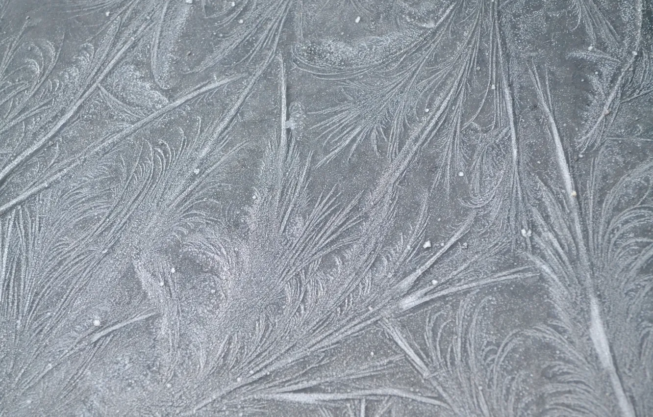 Photo wallpaper frost, line, patterns, texture, frost
