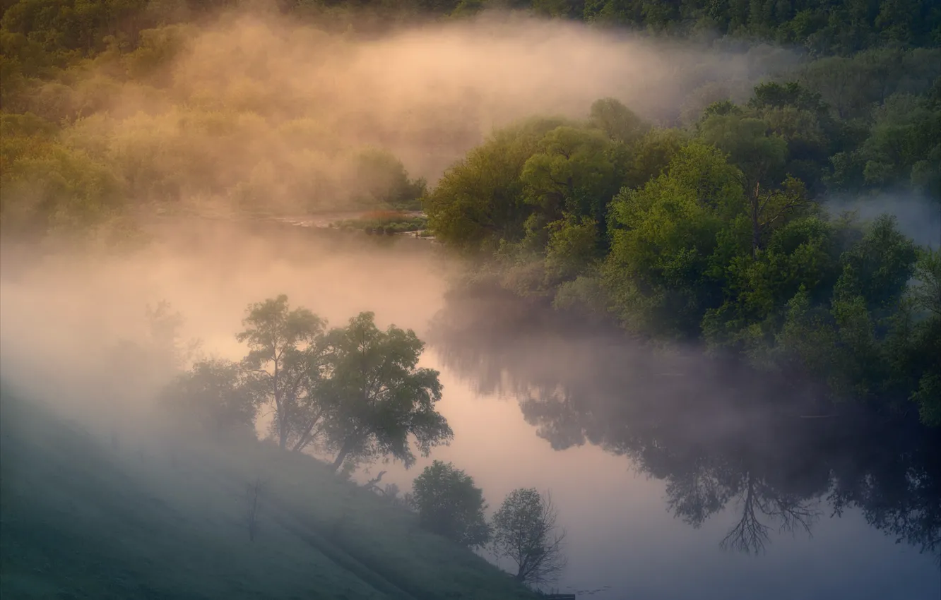 Photo wallpaper trees, fog, river, morning