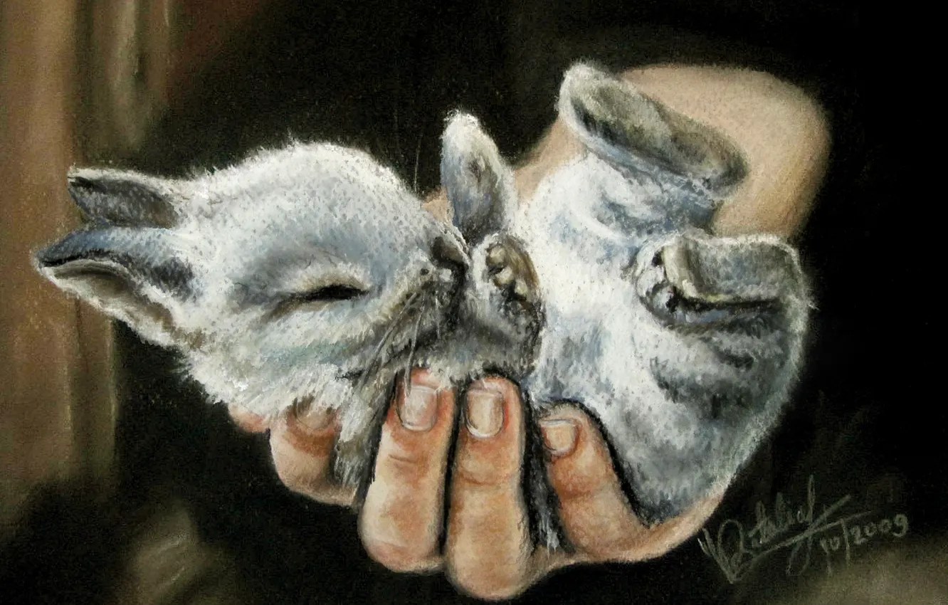 Photo wallpaper people, hand, legs, small, painting, ears, rabbit