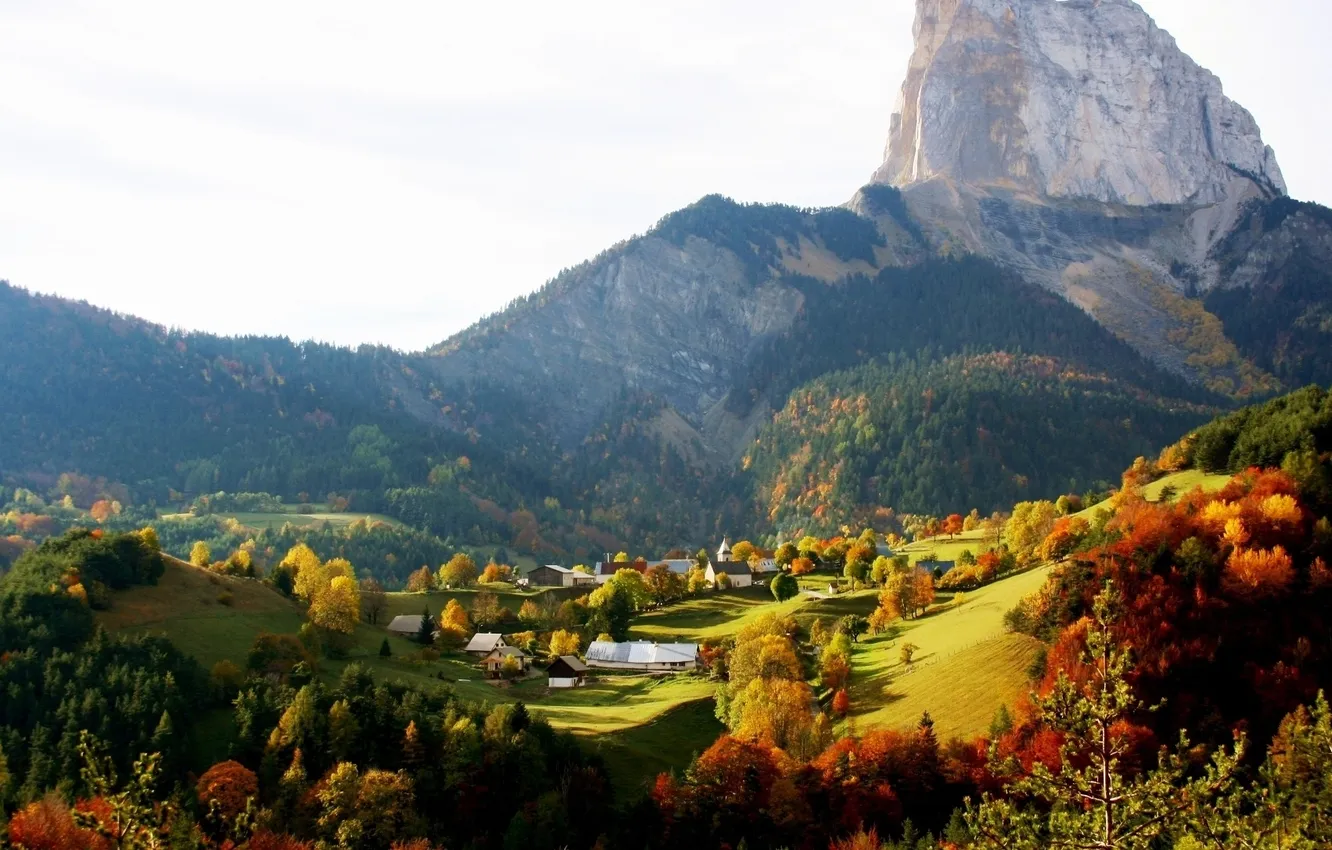 Photo wallpaper greens, forest, grass, trees, landscape, mountains, nature, home