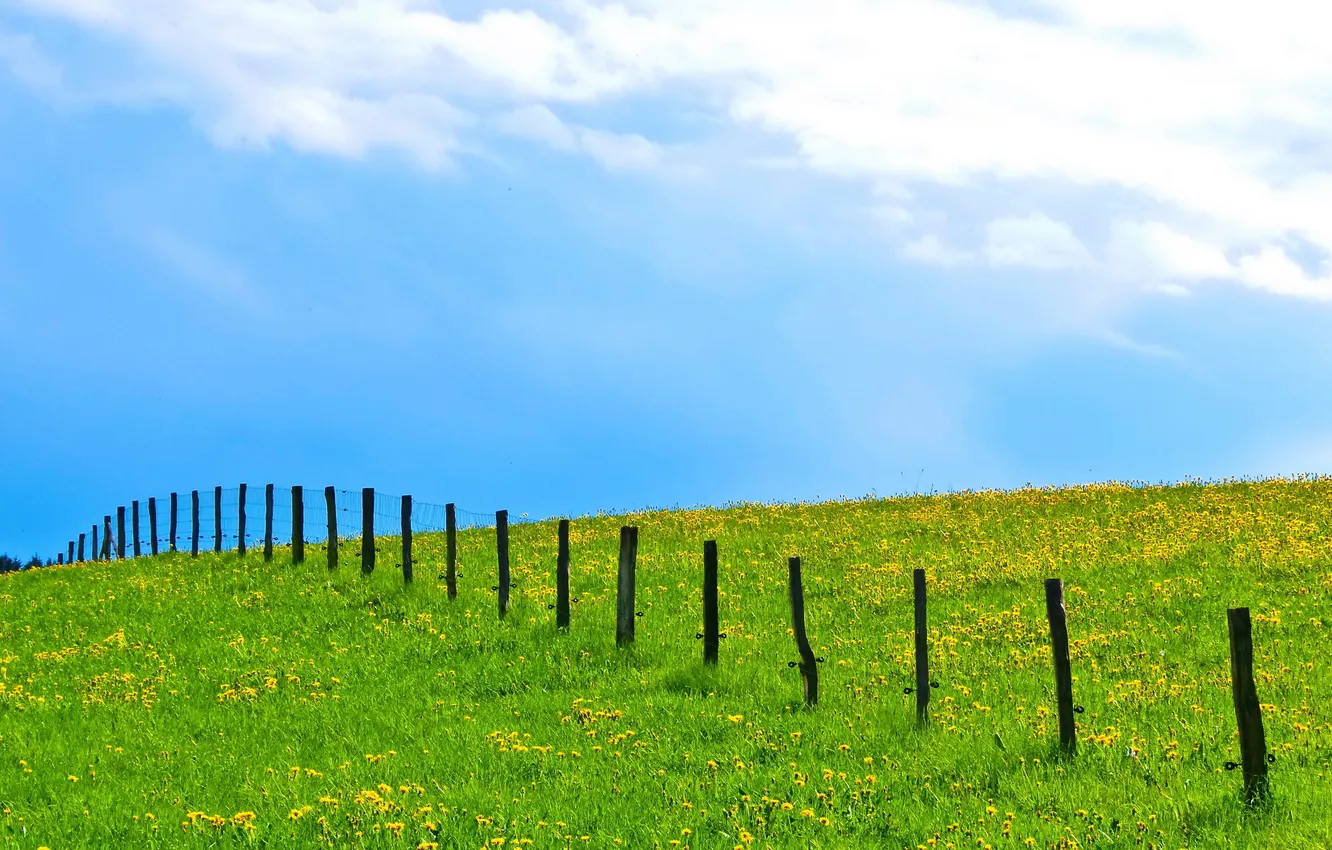 Photo wallpaper field, summer, the sky, landscape, the fence