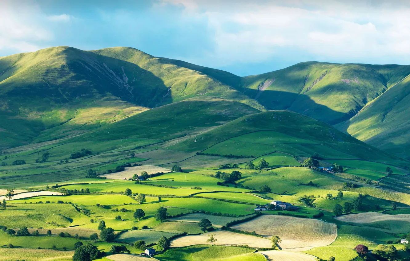 Photo wallpaper the sky, trees, mountains, hills, field, houses, Sunny, meadows