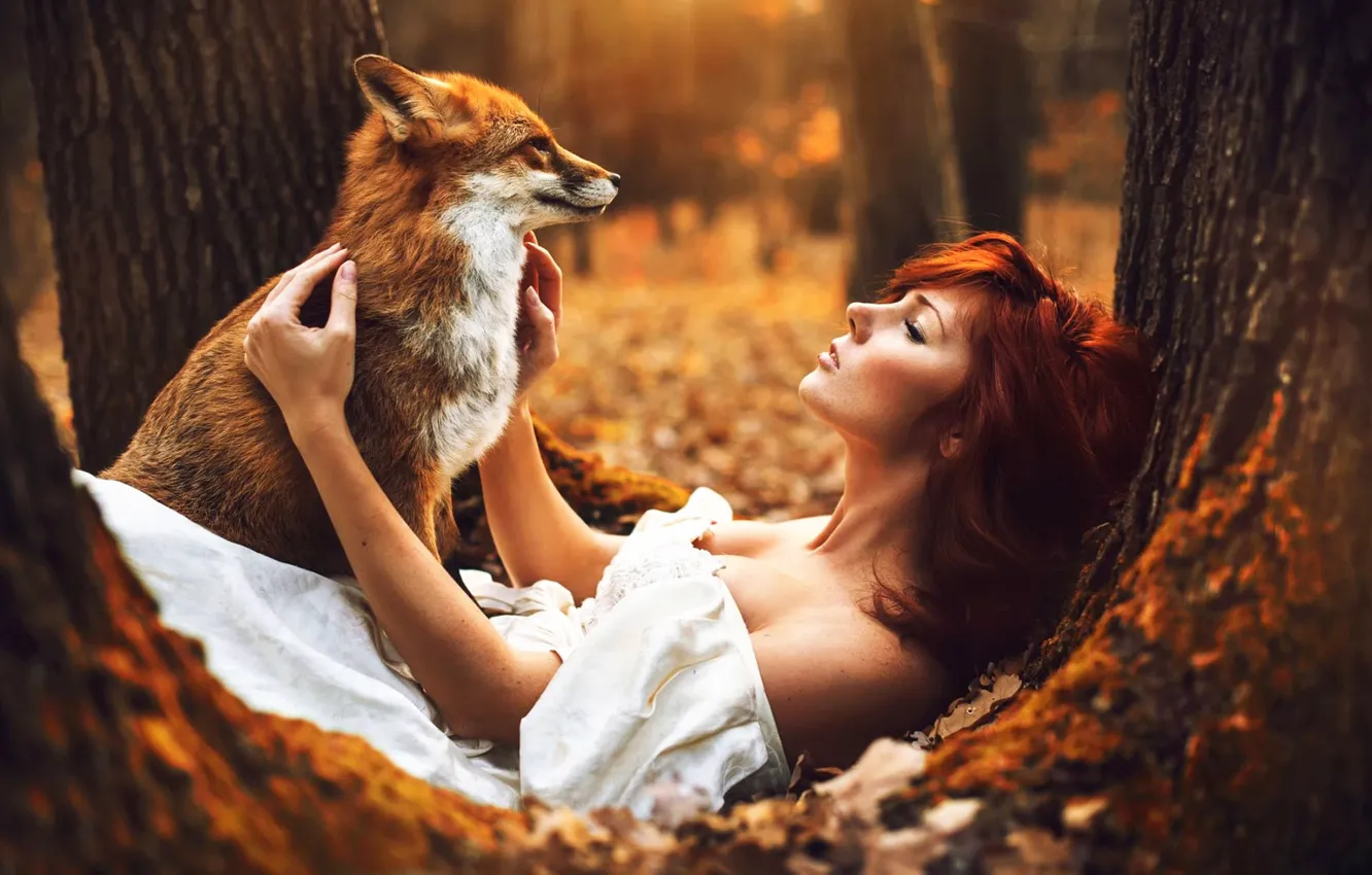 Photo wallpaper Fox, white, dress, Autumn, autumn, tree, Woman, sitting