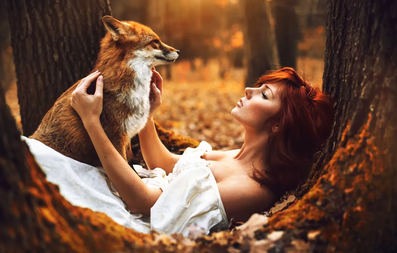Photo wallpaper white, dress, fox, woman, autumn, tree, sitting, Redhaired