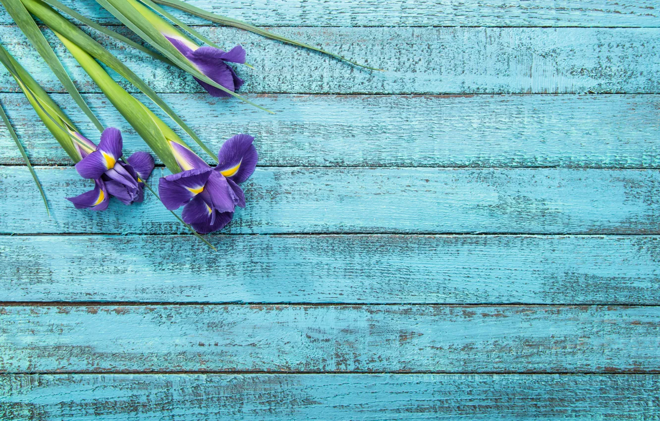 Photo wallpaper flowers, spring, irises, wooden background
