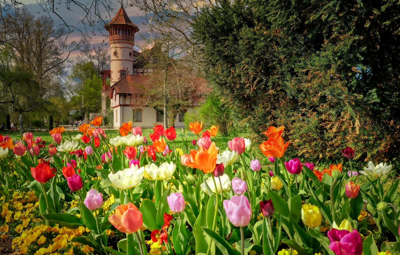 Photo wallpaper landscape, flowers, nature, Park, castle, the building, tulips