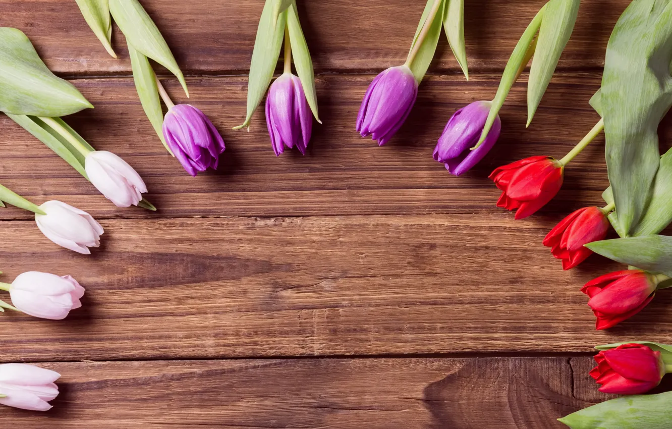 Photo wallpaper flowers, tulips, buds, flowers, tulips, wooden background, buds, wooden background